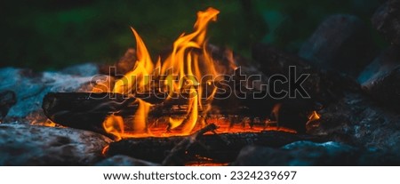 Vivid smoldered firewoods burned in fire close-up. Atmospheric warm background with orange flame of campfire. Unimaginable full frame image of bonfire. Burning logs in beautiful fire. Wonderful flame. Royalty-Free Stock Photo #2324239697