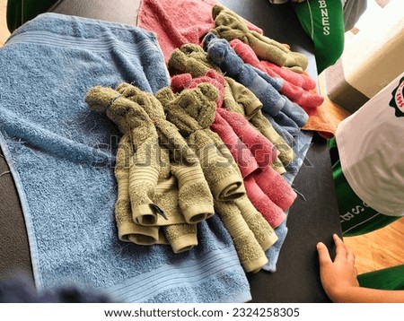 A bundle of towel folding art.