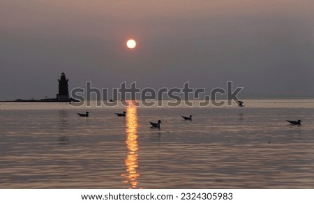 Silhouette of the lighthouse and wild birds during the sunset at Cape Henlopen State Park, Lewes, Delaware, U.S.A Royalty-Free Stock Photo #2324305983