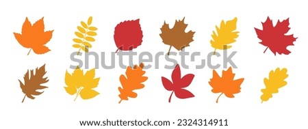 Isolated color autumn leaves over white Royalty-Free Stock Photo #2324314911