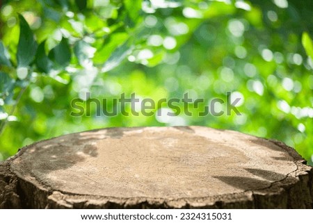forest stump green bokeh background