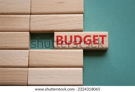Budget symbol. Concept word Budget on wooden blocks. Beautiful grey green background. Business and Budget concept. Copy space.