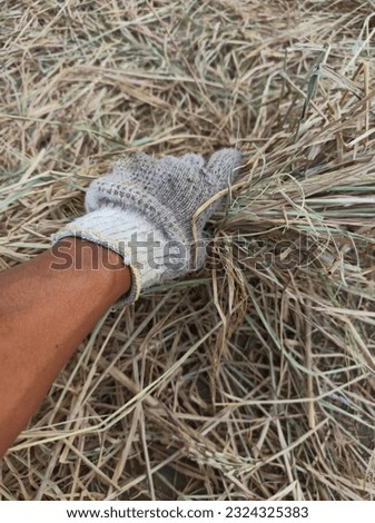 photo of hands with gloves picking up hay