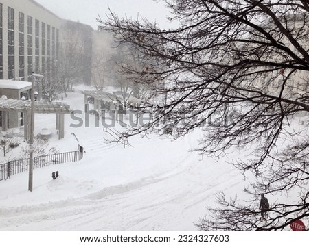 Blankets of snow during a snowstorm Juno in Boston, Massachusetts with a bare tree in the frame, pictured snow fall and a person crossing a buried road