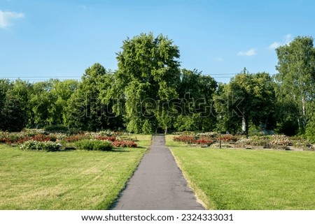 Silesian Park is one of the largest downtown parks in Europe. Rose garden on a summer afternoon. Chorzow, Poland Royalty-Free Stock Photo #2324333031