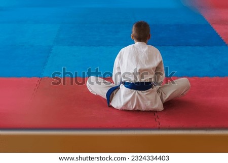 A young karate man with a blue belt is warming up on the mat in the hall of the sports school with his back to us. Royalty-Free Stock Photo #2324334403