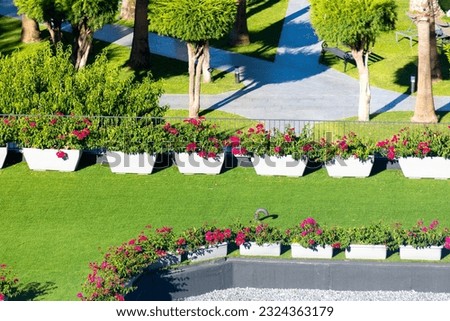 Flowers in flowerbeds with a green lawn.