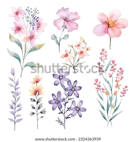 Beautiful Watercolor Fairy Flowers on White Background - Clipart Collection