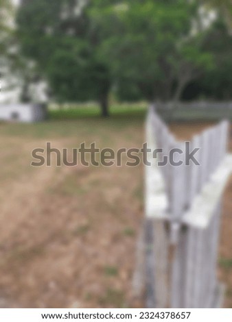 a blurry photo of a grass field and white old fence in the home house backyard as a background. grass, fallen leaves, trees, park, forest as beautiful view in sunny day, a little horror gripping