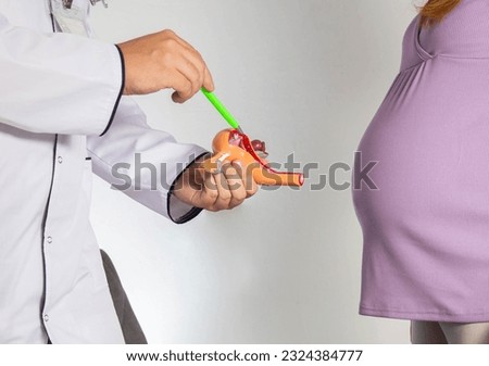 A gynecologist doctor explains to a pregnant girl the process of egg fertilization using the example of a model of the reproductive system. Pregnancy and physiology, contraception Royalty-Free Stock Photo #2324384777