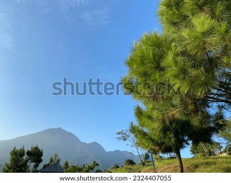 Landscape view of Mount Halimun Salak with overgrown pine trees. This photo was taken from the foot of the mountain, precisely Mount Bunder, Bogor. Royalty-Free Stock Photo #2324407055