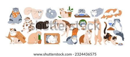 Cute funny comic cats set. Happy, sad and angry kitties with amusing expressions, emotions, poses. Adorable feline animals, humorous stickers. Flat vector illustrations isolated on white background