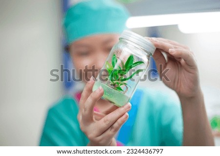 Scientist check plants tissue culture biotechnology science. Biotech Laboratory discuss.
