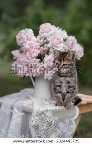 Photo of a small kitten near a bouquet of pink roses.