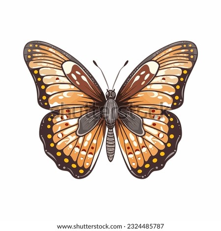 Butterfly vector illustration, colorful and very beautiful, large image size, suitable for decoration, printing