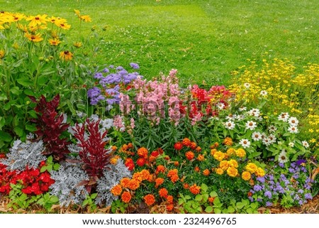 Multi-colored flower bed in the park. Lots of beautiful summer flowers. Lush bright flowering in the garden. Multicolor blooming front garden. Outdoor summer gardening. Royalty-Free Stock Photo #2324496765