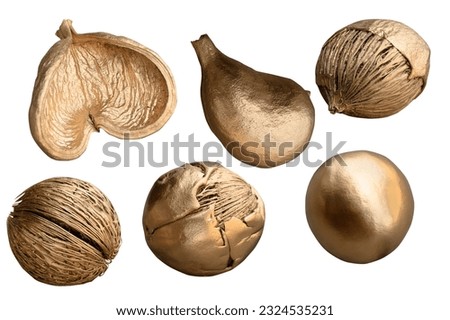 Fruit of lace and golden succulent coconut on white background can be used as background, clipping path.