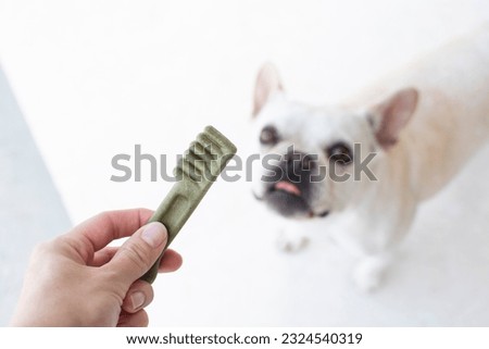 Dog dental care concept. Dental treats for dogs. Dog products. Royalty-Free Stock Photo #2324540319