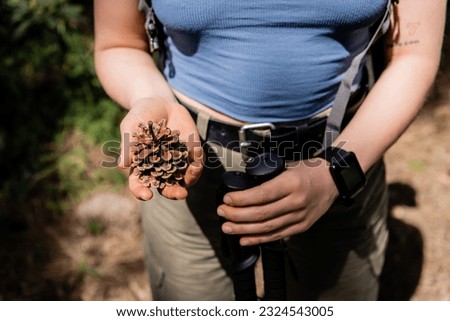 Cropped view of young tattooed female tourist holding trekking poles and pine cone while standing in blurred forest during summer, hiking for health and wellness concept