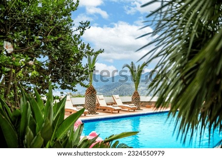 Through the lush greenery of palms and other foliage, there is a view of the pool with cozy sunbeds. Selective focus. 




 Royalty-Free Stock Photo #2324550979