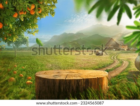 Tree Table wood Podium in farm display for food, perfume, and other products on nature background, Table in farm with orange tree and grass, Sunlight at morning	
 Royalty-Free Stock Photo #2324565087