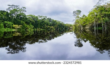 The Marañón River (Maranon) in Reservas Nacional Pacaya Samiria - protected area located in the region of Loreto, Peru, Amazonia, South America. Royalty-Free Stock Photo #2324572981