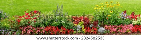 Natural flower bed in the park. Lots of beautiful summer flowers. Lush bright flowering in the garden. Banner. Multicolor blooming front garden. Outdoor summer gardening. Royalty-Free Stock Photo #2324582533
