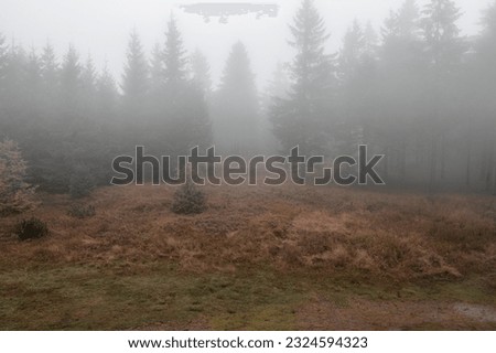 Autumn forest in the mountains. Nature, woods with fog