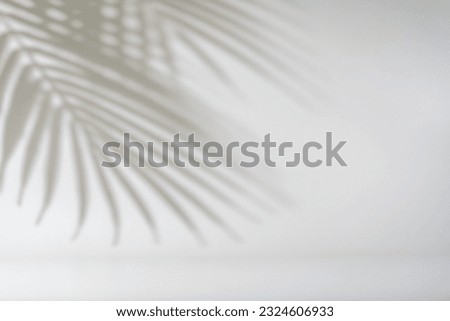Shadow of tropical palm leaves on white wall. Minimal abstract light white background for product presentation. Royalty-Free Stock Photo #2324606933