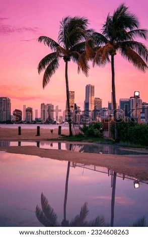 sunset over the city reflection palms miami