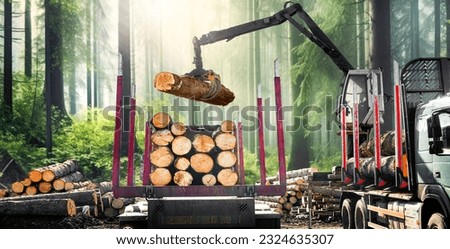 The heavy machine harvester working in a forest. Wooden logs lifting with lambrtjack. Agriculture and forestry concept. panorama photo