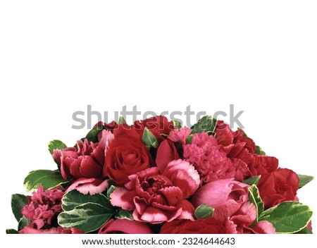 Colored flowers isolated over white background, flowers clipart