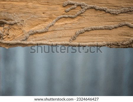 The surface of an old rotted and corroded wooden object
