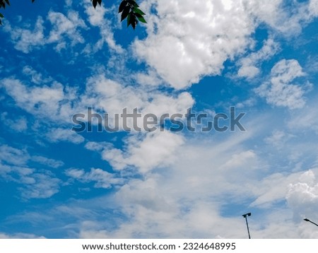 Bright, clear day with sunny blue sky, fluffy clouds, and tall tree.