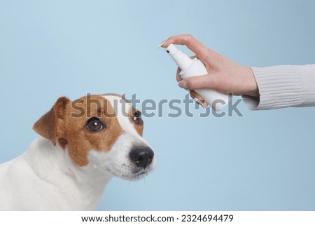 treatment of dogs from ticks and fleas, the concept of treating dogs Royalty-Free Stock Photo #2324694479
