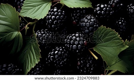 
Vector blackberry illustration. Blackberry template for printing on fabric, paper, wallpaper. Ripe 3d blackberry illustration. Abstract blackberry print, banner. Fruity 3d wallpaper. Berry background Royalty-Free Stock Photo #2324709883