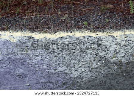 rain runoff with pollen on the surface Royalty-Free Stock Photo #2324727115