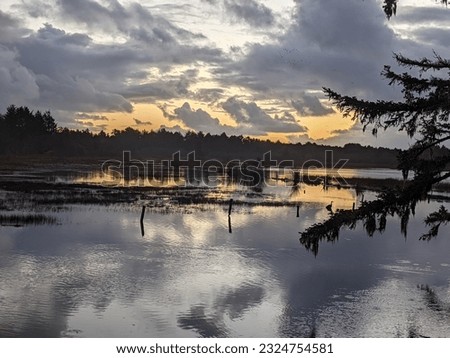 Dramatic sky looms over the flooded marsh of a fresh water estuary in Oregon.  Royalty-Free Stock Photo #2324754581