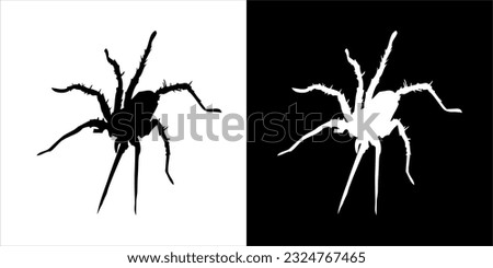  illustration, vector graphic of spider icon