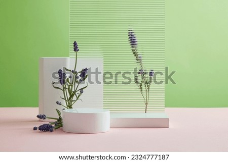 Empty cylindrical platform for cosmetics. Mockup with empty podium, fresh lavender and acrylic sheet on green background. People use lavender in many ways to promote good health and well-being Royalty-Free Stock Photo #2324777187