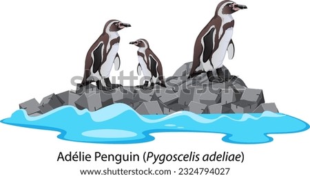 Adelie penguin cartoon on the rock illustration