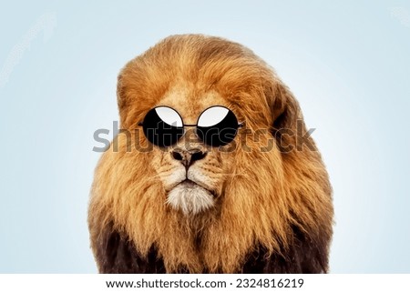 Cool handsome hipster lion boss with fashion round sunglasses on a pastel blue background. Success, business and development, creative idea. Predator