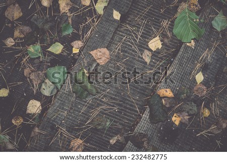 old wooden planks covered with autumn leaves. Vintage photography effect.