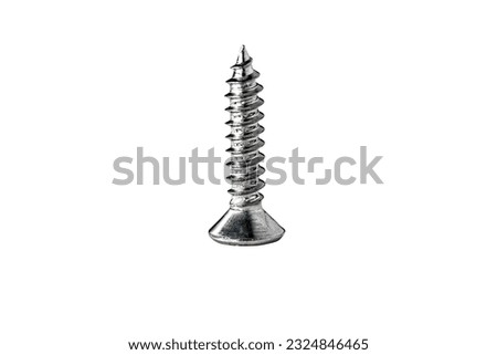 silver screws on white background 
