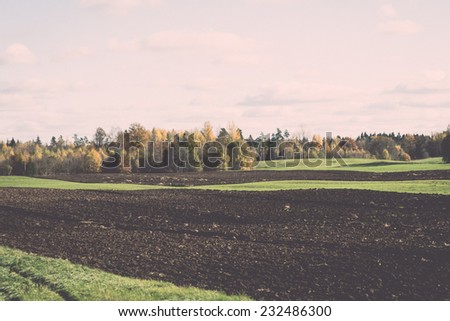 green field with trees in the autumn in country. Vintage photography effect.