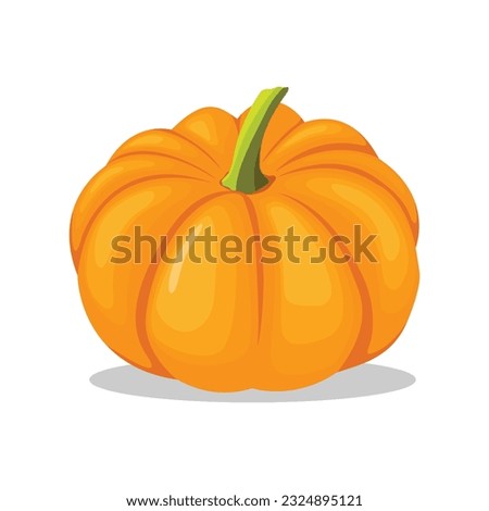 Vector illustration of pumpkin fruit flat icons cartoon style. Sign kit of halloween. Thanksgiving pictogram collection farm harvest, closeup squash, vegetable. Simple yellow pumpkin autumn fruit logo