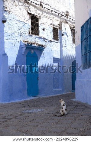 Narrow street in Chefchaouen, Morocco