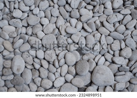 A collection of white coral stones to decorate the garden
