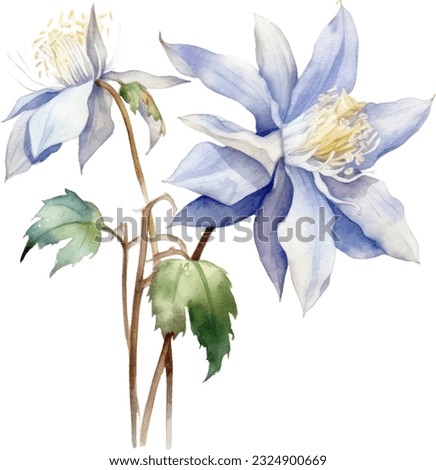 Columbine Watercolor illustration. Hand drawn underwater element design. Artistic vector marine design element. Illustration for greeting cards, printing and other design projects. Royalty-Free Stock Photo #2324900669