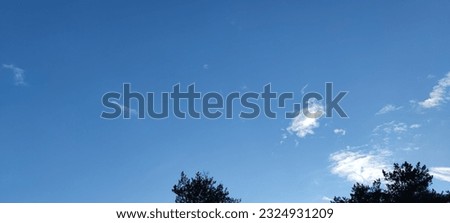 Snow-white fluffy cloud. Above the tops of the trees, some of the branches of which are still without leaves, a small white cloud hangs against the blue sky. It has a weird shape. Royalty-Free Stock Photo #2324931209